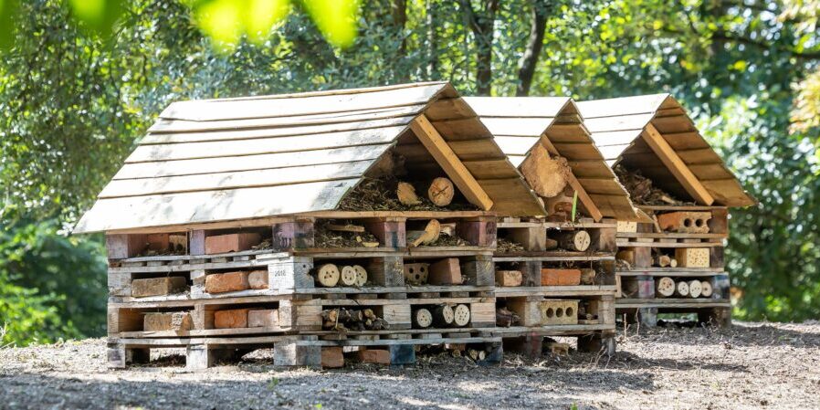 BB Bug Hotels 12.08.2025_028