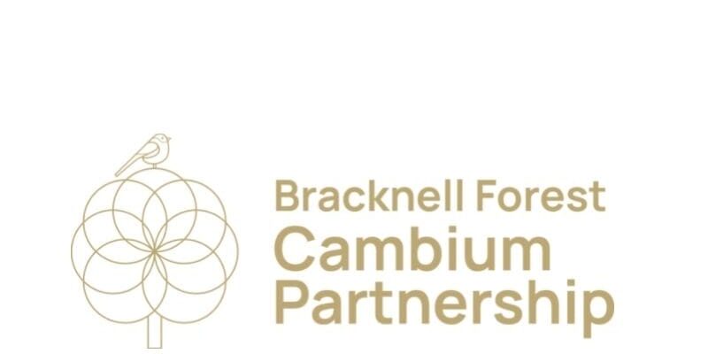 Cambium logo - website resized