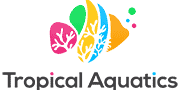 logo-v100