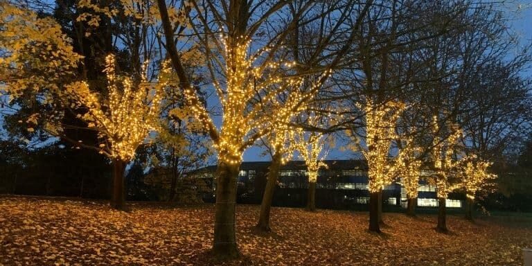 seasonal lighting 1